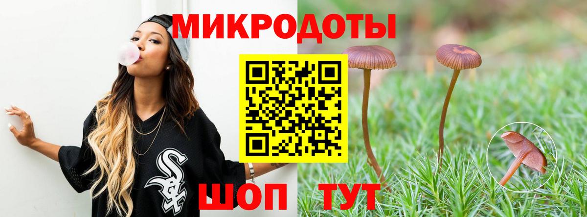 Советск  Галлюциногенные грибы Magic Shrooms  Вход с VPN  где можно купить   Галлюциногенные грибы Cubensis 